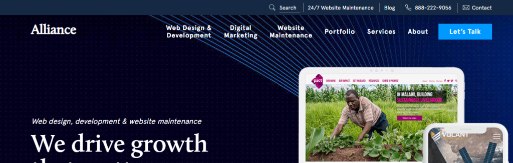 Professional web hosting in Washington, DC